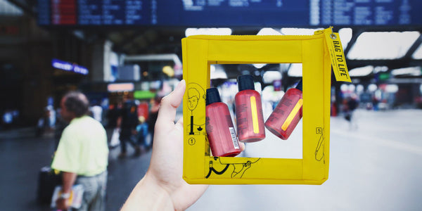 Bag to Life Carry on Liquids bag