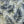 Viyella Made in Canada Shrub Print Short Sleeve Shirt with Stretch