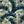 Viyella Made in Canada Short Sleeve Jungle Print Shirt with Stretch