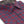 Chemise sport à manches courtes à carreaux rouges et bleus sans repassage Leo Chevalier